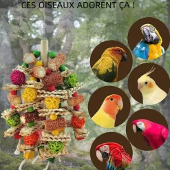 Downypaws - Jouet à mâcher pour perroquet
