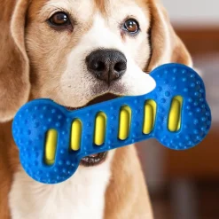 Downypaws Jouets | - Jouet pour chien forme osseuse sifflet tpr nettoyant dentaire