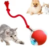 Downypaws - Jouet à Rouler Automatique Et Rechargeable Par USB Pour Chat Outlet
