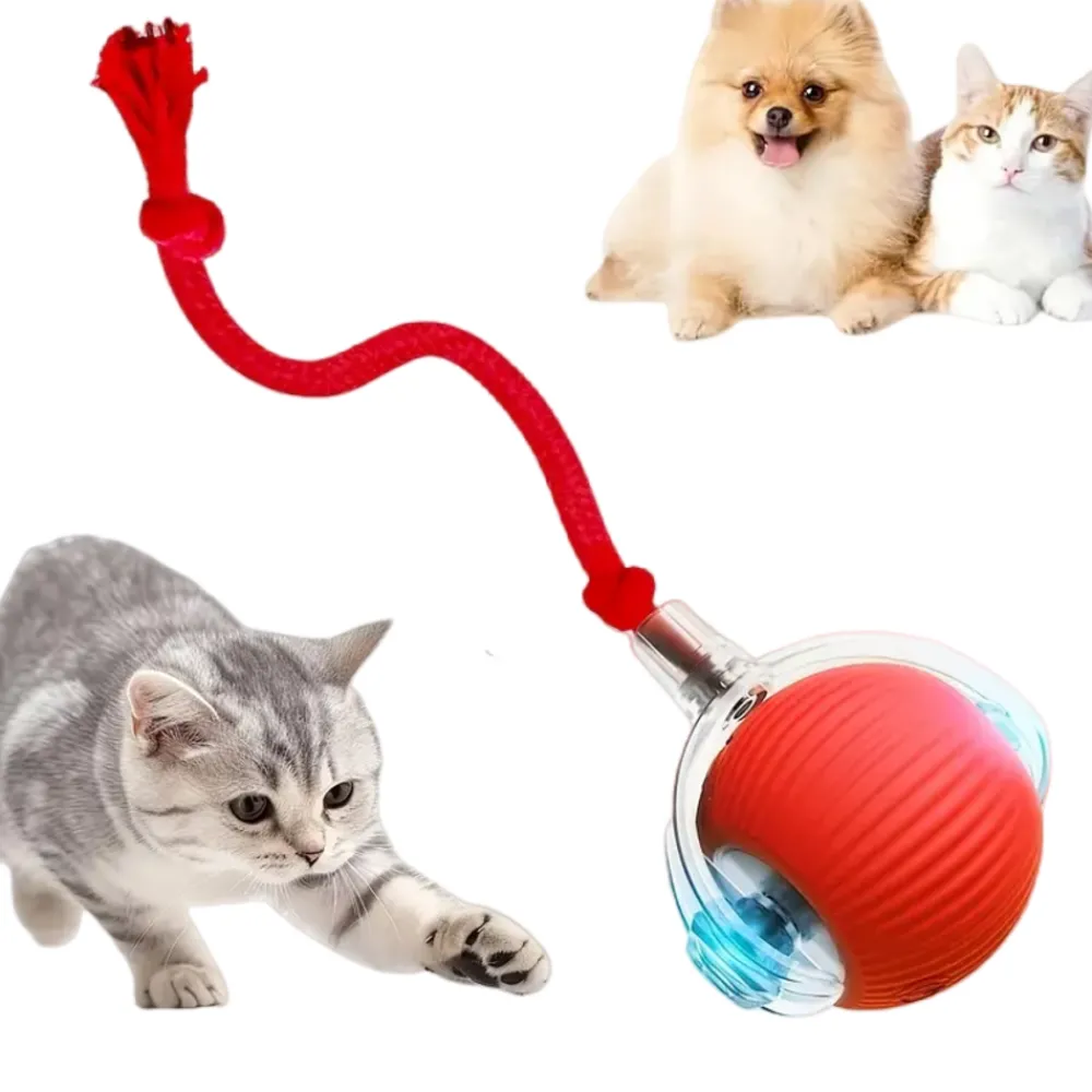 Downypaws - Jouet à Rouler Automatique Et Rechargeable Par USB Pour Chat Outlet