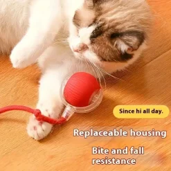 Downypaws - Jouet à Rouler Automatique Et Rechargeable Par USB Pour Chat Outlet