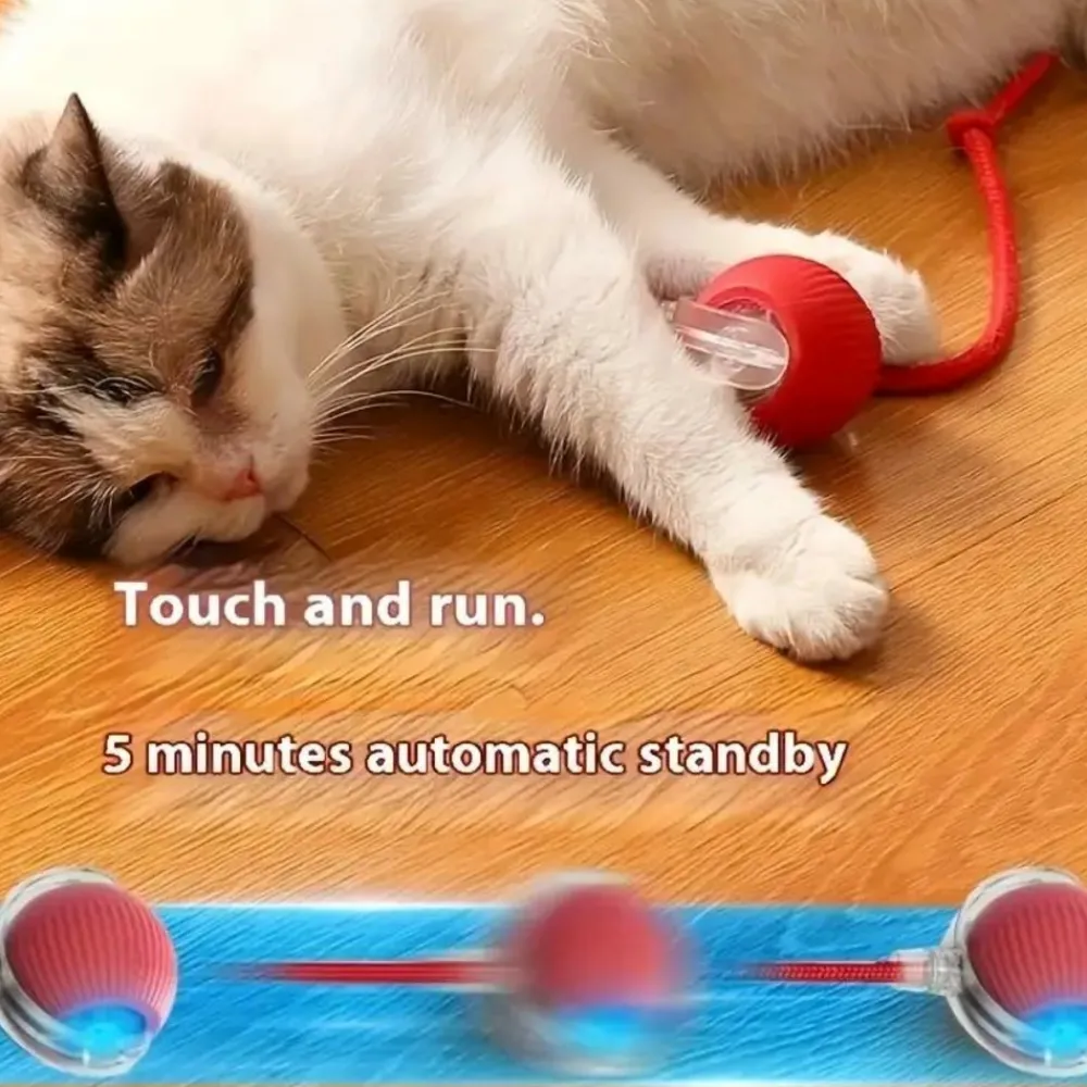 Downypaws - Jouet à Rouler Automatique Et Rechargeable Par USB Pour Chat Outlet