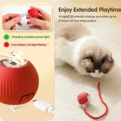Downypaws - Jouet à Rouler Automatique Et Rechargeable Par USB Pour Chat Outlet