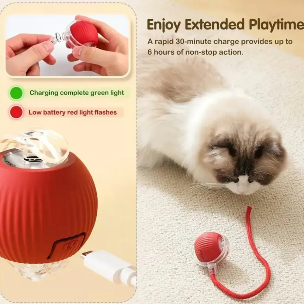 Downypaws - Jouet à Rouler Automatique Et Rechargeable Par USB Pour Chat Outlet