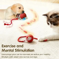 Downypaws - Jouet à Rouler Automatique Et Rechargeable Par USB Pour Chat Outlet
