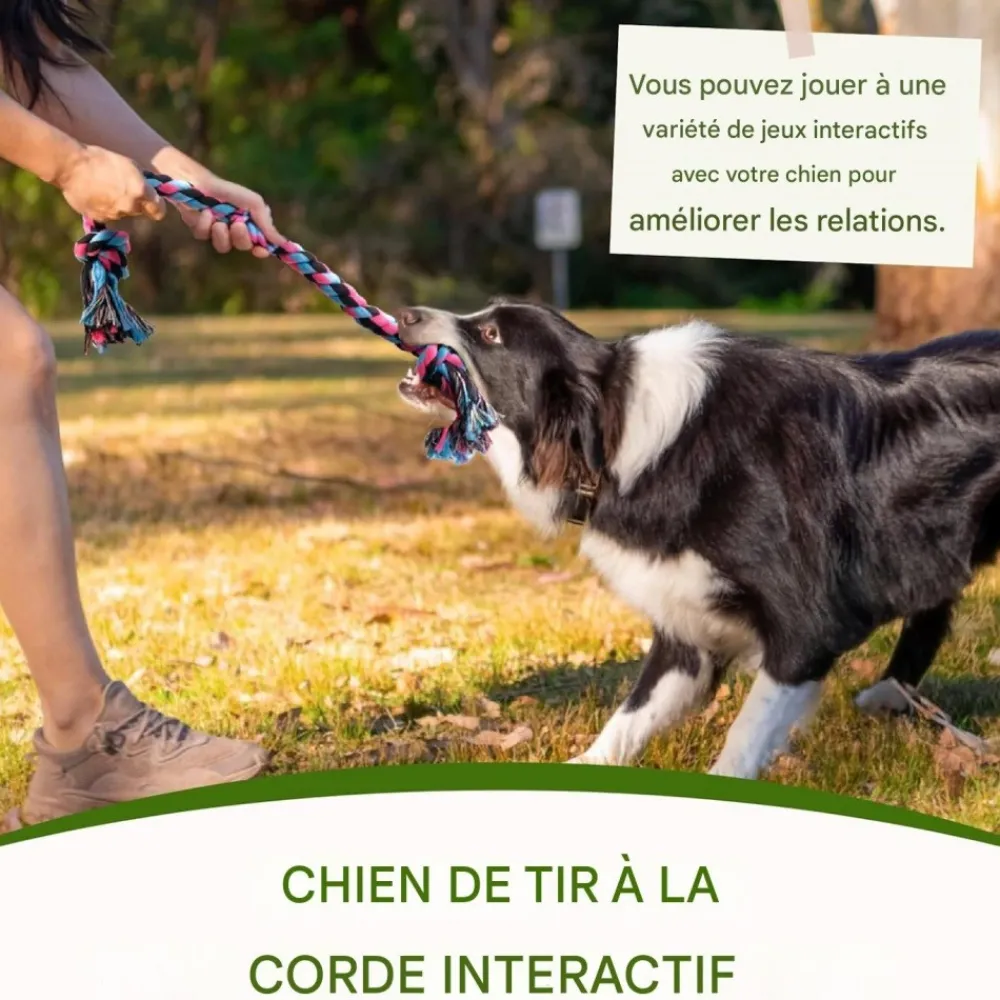 Downypaws - Jouets de tir à la corde Online