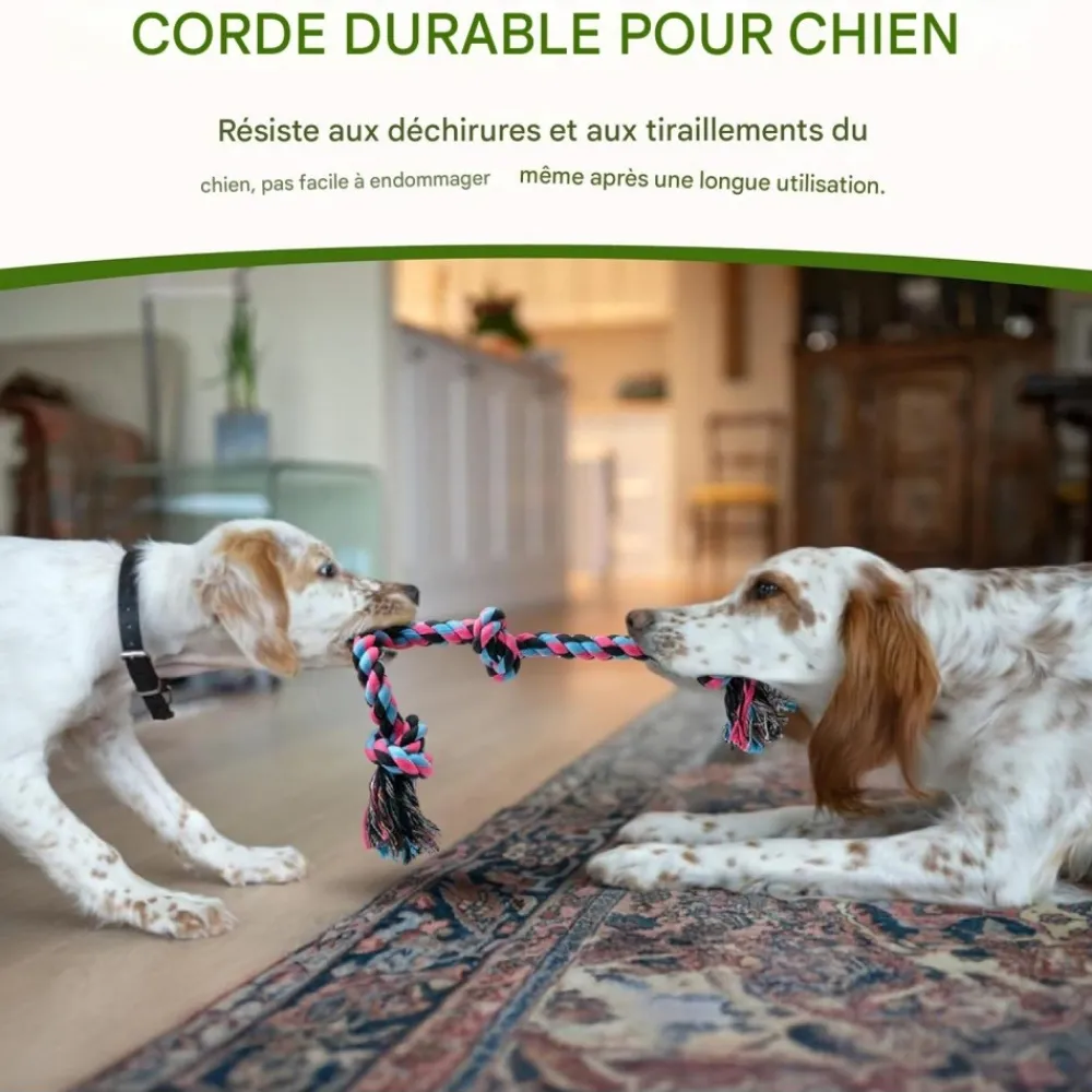 Downypaws - Jouets de tir à la corde Online