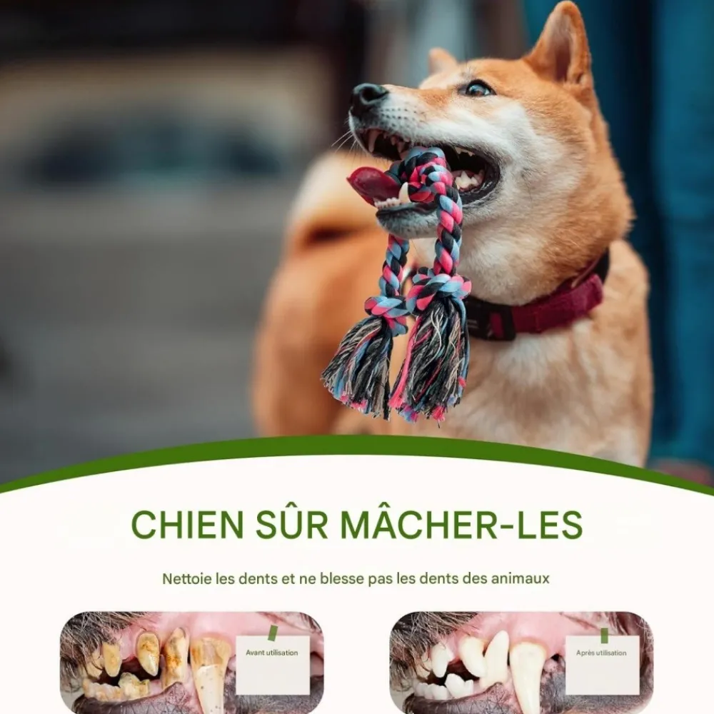 Downypaws - Jouets de tir à la corde Online