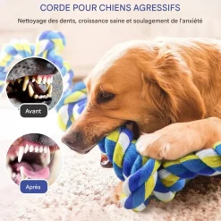 Downypaws - Jouets de tir à la corde Discount