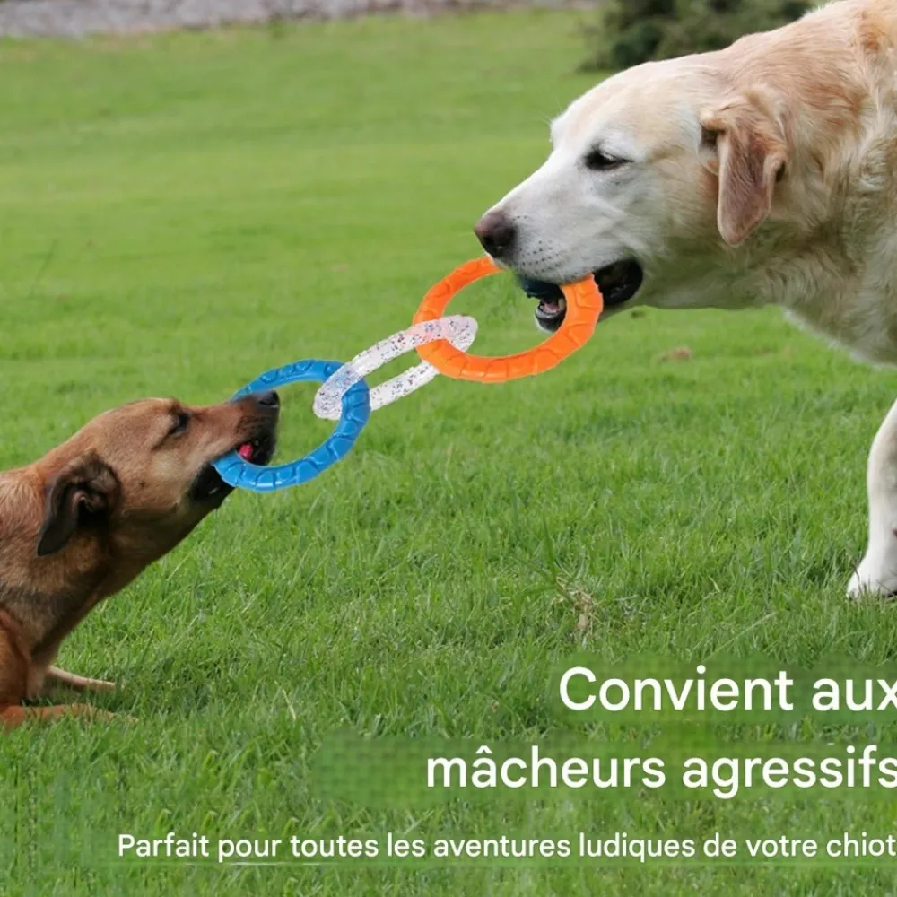 Downypaws - Jouets de tir à la corde New