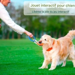 Downypaws - Jouets de tir à la corde New