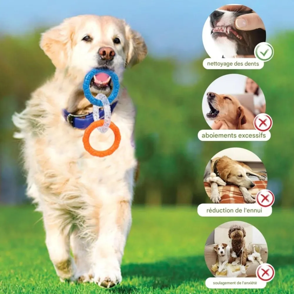 Downypaws - Jouets de tir à la corde New