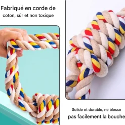 Downypaws Jouets | - Jouets en corde, corde de 40 cm pour chiens de petite et moyenne taille, jouet durable à mâcher et nettoyant les dents