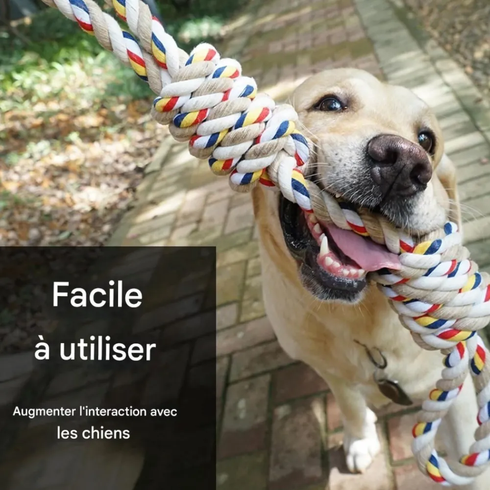 Downypaws Jouets | - Jouets en corde, corde de 40 cm pour chiens de petite et moyenne taille, jouet durable à mâcher et nettoyant les dents