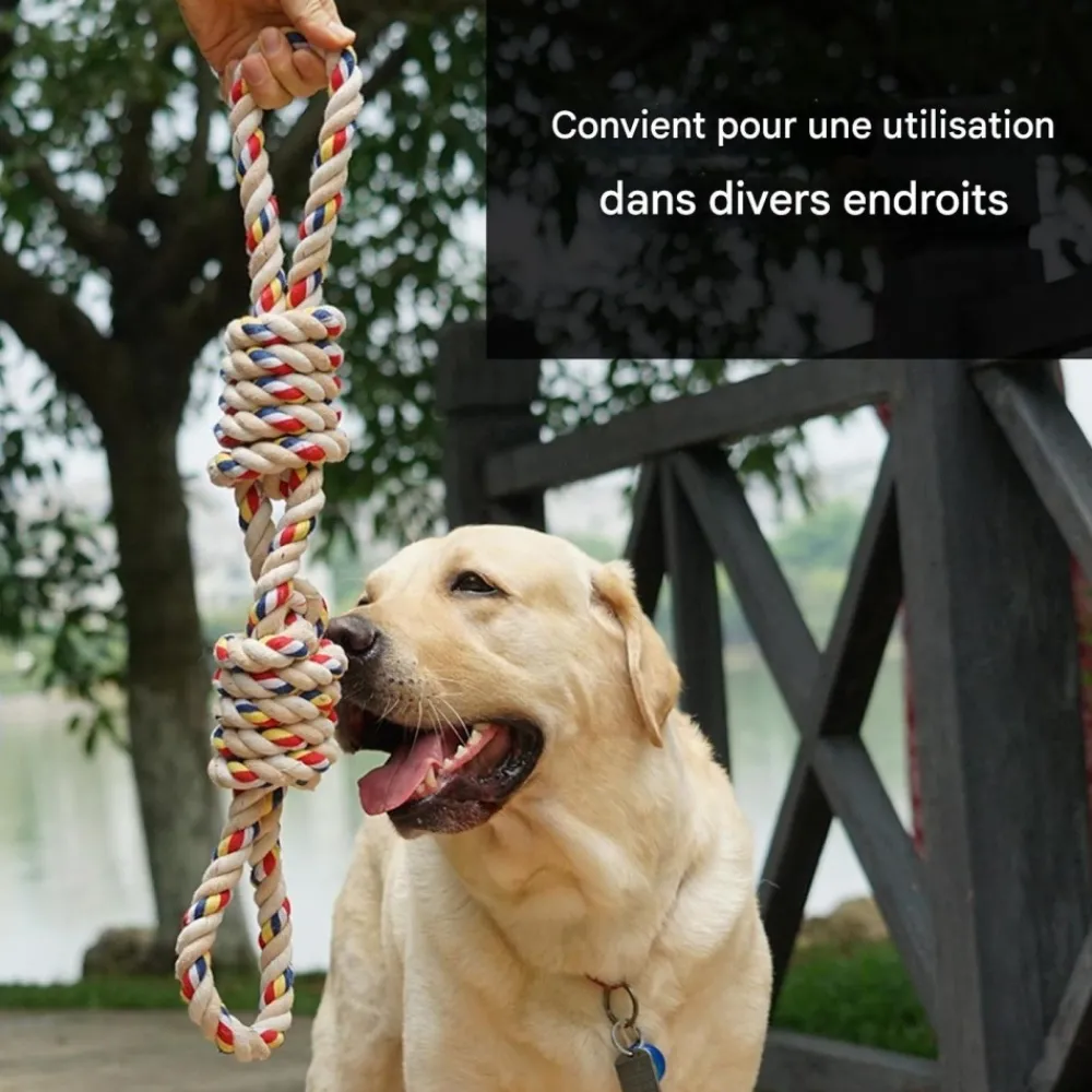 Downypaws Jouets | - Jouets en corde, corde de 40 cm pour chiens de petite et moyenne taille, jouet durable à mâcher et nettoyant les dents
