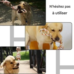 Downypaws Jouets | - Jouets en corde, corde de 40 cm pour chiens de petite et moyenne taille, jouet durable à mâcher et nettoyant les dents