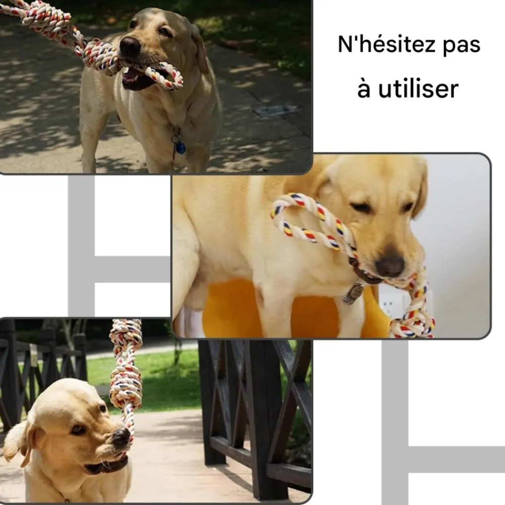Downypaws Jouets | - Jouets en corde, corde de 40 cm pour chiens de petite et moyenne taille, jouet durable à mâcher et nettoyant les dents