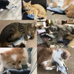 Downypaws - Jouets interactifs pour chats-jouet électrique en forme de poisson