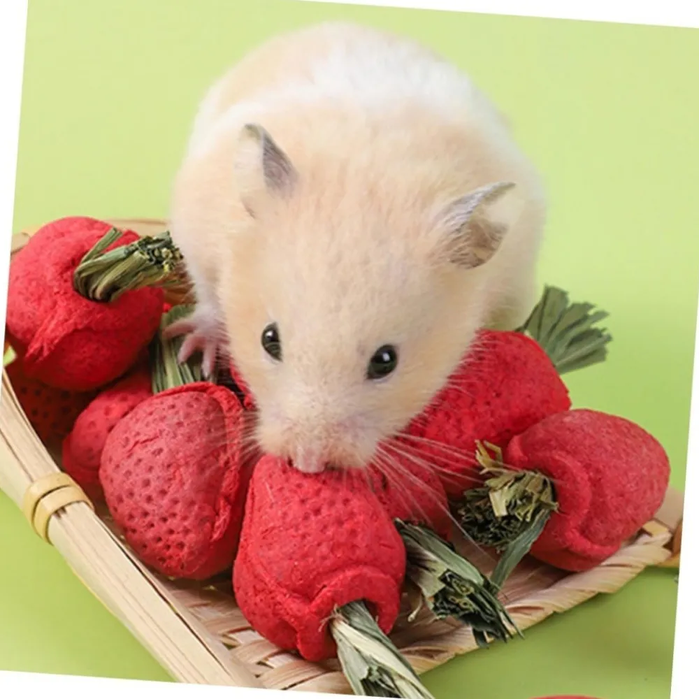 Downypaws Alimentation | - Jouets à mâcher - lot de 9 en forme de fraise