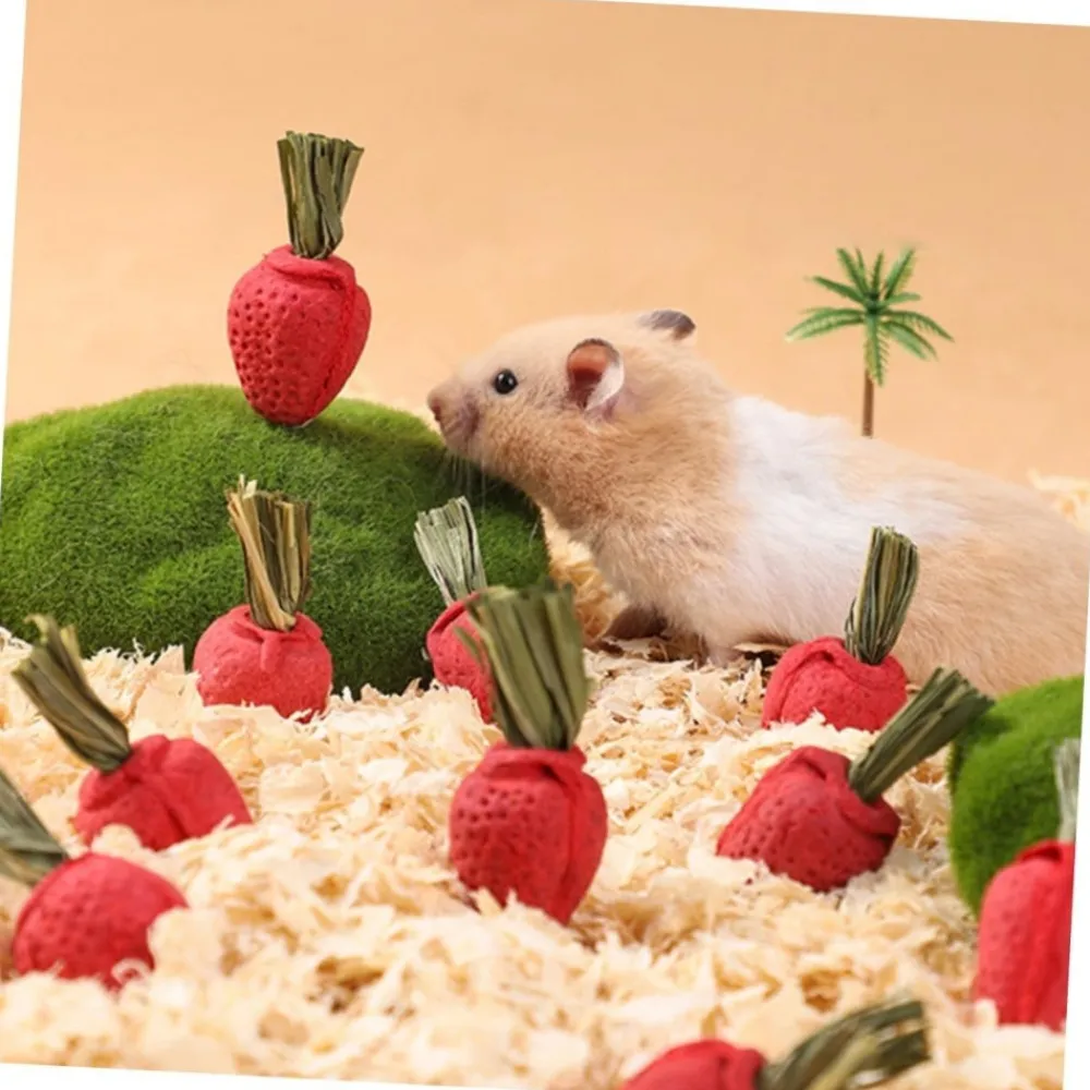 Downypaws Alimentation | - Jouets à mâcher - lot de 9 en forme de fraise