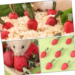Downypaws Alimentation | - Jouets à mâcher - lot de 9 en forme de fraise