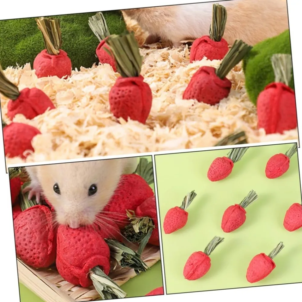Downypaws Alimentation | - Jouets à mâcher - lot de 9 en forme de fraise