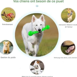 Downypaws Jouets | - Jouets à mâcher pour chiens- forme d'os -grand verthygiène dentaire