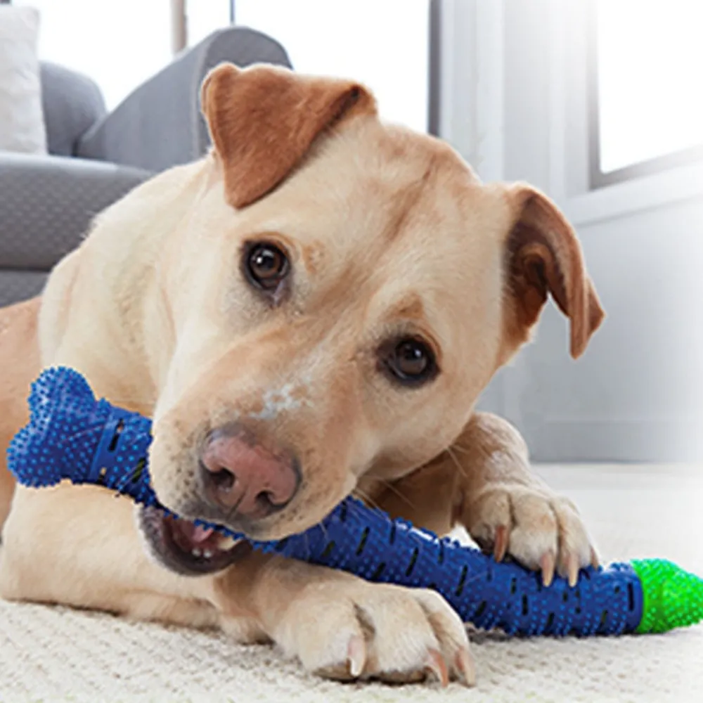 Downypaws Jouets | - Jouets à mâcher pour chiens-jouet os à mâcher pour chienamovible-bleu 26*5*5cm