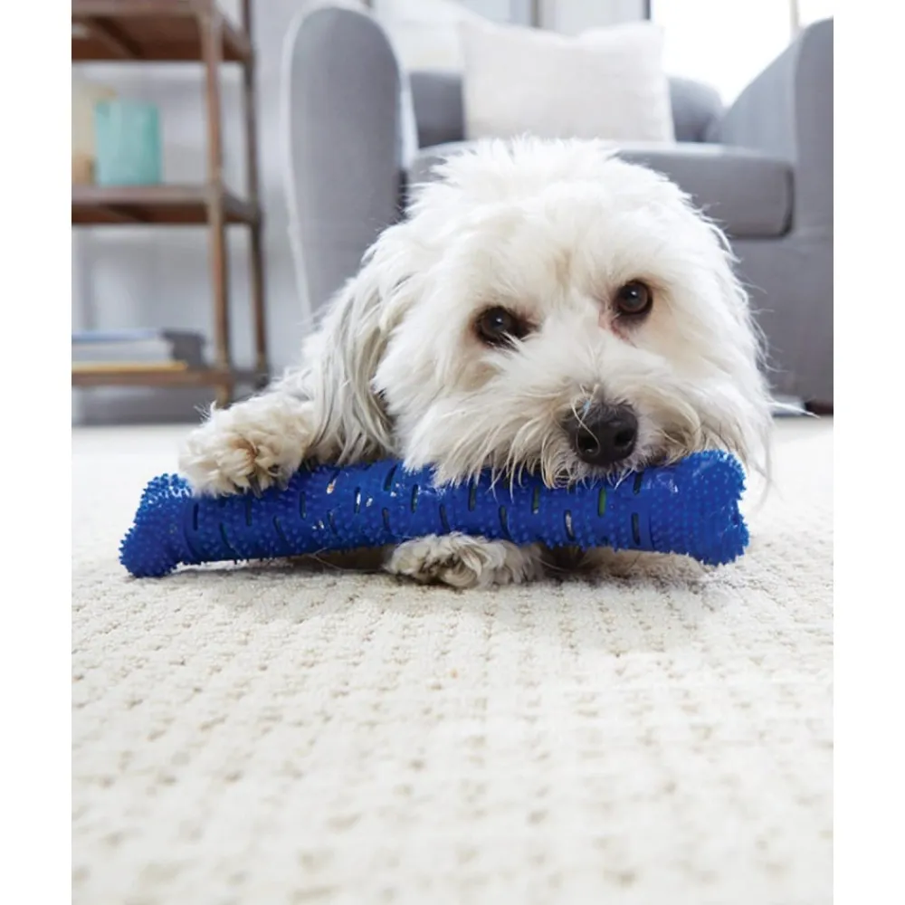 Downypaws Jouets | - Jouets à mâcher pour chiens-jouet os à mâcher pour chienamovible-bleu 26*5*5cm
