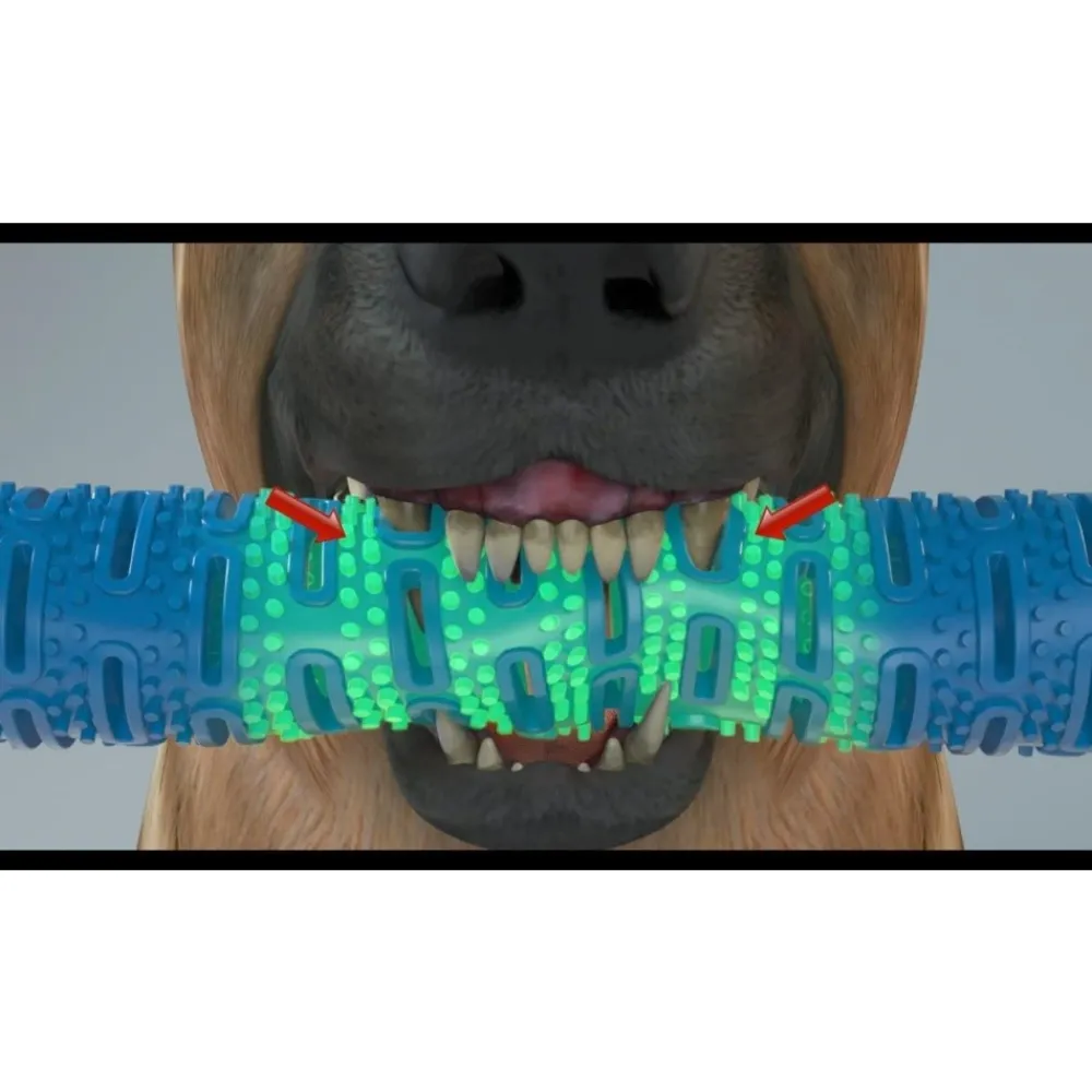 Downypaws Jouets | - Jouets à mâcher pour chiens-jouet os à mâcher pour chienamovible-bleu 26*5*5cm