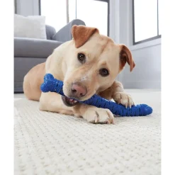 Downypaws Jouets | - Jouets à mâcher pour chiens-jouet os à mâcher pour chienamovible-bleu 26*5*5cm