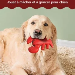 Downypaws - Jouets à mâcher pour chiens en forme de homard -13.2*5.7*17cm Hot