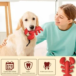Downypaws - Jouets à mâcher pour chiens en forme de homard -13.2*5.7*17cm Hot