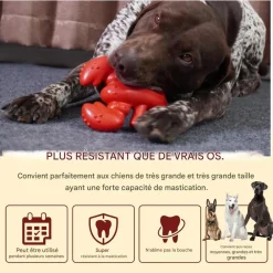 Downypaws - Jouets à mâcher pour chiens en forme de homard -13.2*5.7*17cm Hot