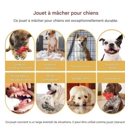 Downypaws - Jouets à mâcher pour chiens en forme de homard -13.2*5.7*17cm Hot