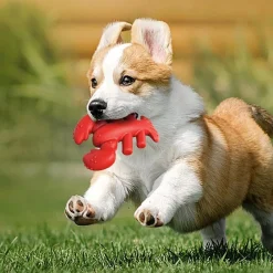 Downypaws - Jouets à mâcher pour chiens en forme de homard -13.2*5.7*17cm Hot