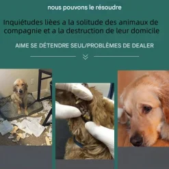 Downypaws Jouets | - Jouets pour chiens-frisbee pour chien boomerang 2 articles-jaune + rouge