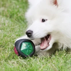 Downypaws Jouets | - Jouets pour chiens de compagnie: jouets de loisirs résistants aux morsures balles d'entraînement interactive sonores et lumineuses