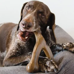 Downypaws - Jouets pour chiens-jouets à mâcher interactifs-jouet en forme d'os-marron foncé 17*13cm Hot
