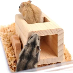 Downypaws - Jouets pour hamsters avec boîtes à bascule et aire de jeux d'escalade New