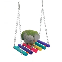 Downypaws - Jouets pour oiseaux-balançoire en bois avec perchoir pour oiseaux-coloré Online
