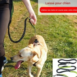 Downypaws - Laisse chien mains libres gris New