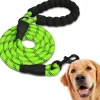 Downypaws Colliers, Laisses Et Vêtements | - Laisse de dressage pour chien- vert réfléchissant 1.5m