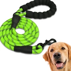 Downypaws Colliers, Laisses Et Vêtements | - Laisse de dressage pour chien- vert réfléchissant 1.5m
