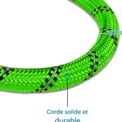 Downypaws Colliers, Laisses Et Vêtements | - Laisse de dressage pour chien- vert réfléchissant 1.5m