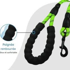 Downypaws Colliers, Laisses Et Vêtements | - Laisse de dressage pour chien- vert réfléchissant 1.5m