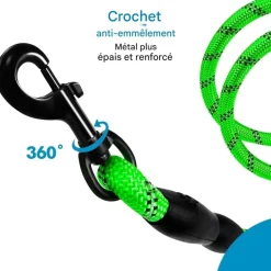 Downypaws Colliers, Laisses Et Vêtements | - Laisse de dressage pour chien- vert réfléchissant 1.5m