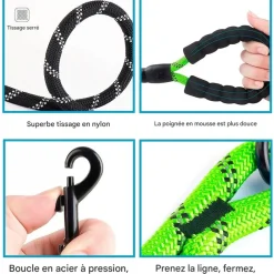 Downypaws Colliers, Laisses Et Vêtements | - Laisse de dressage pour chien- vert réfléchissant 1.5m