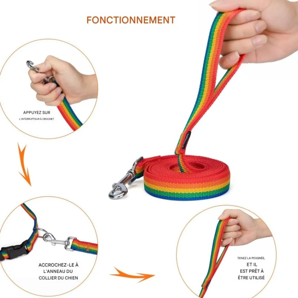 Downypaws - Laisse de dressage pour chien Discount