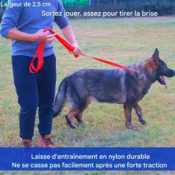 Downypaws - Laisse de dressage pour chien Discount